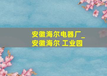 安徽海尔电器厂_安徽海尔 工业园